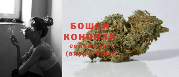 сатива Тихвин