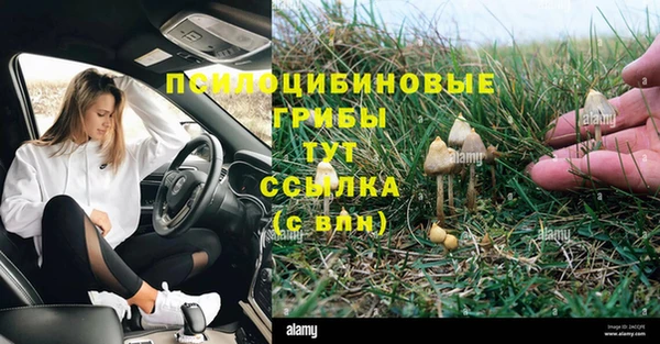 сатива Тихвин
