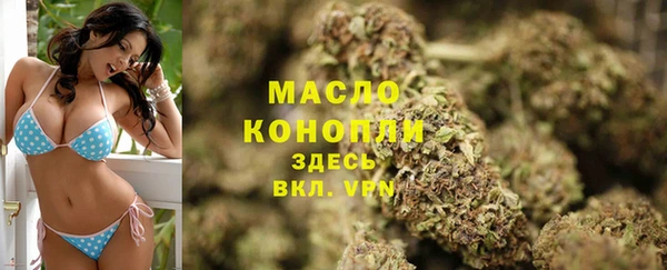 сатива Тихвин