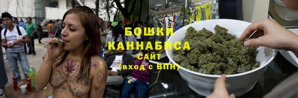 сатива Тихвин