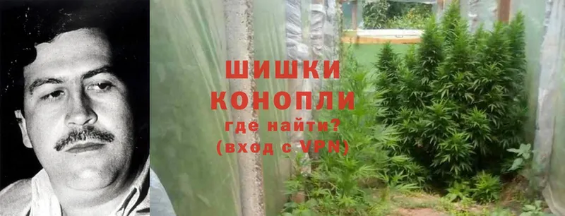 МАРИХУАНА Ganja  купить наркотики сайты  мега вход  Динская 